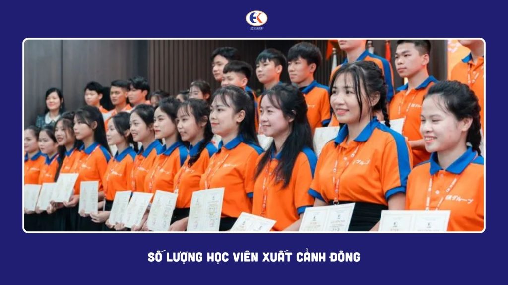 công ty có số lượng đơn hàng nhiều và học viên xuất cảnh đông