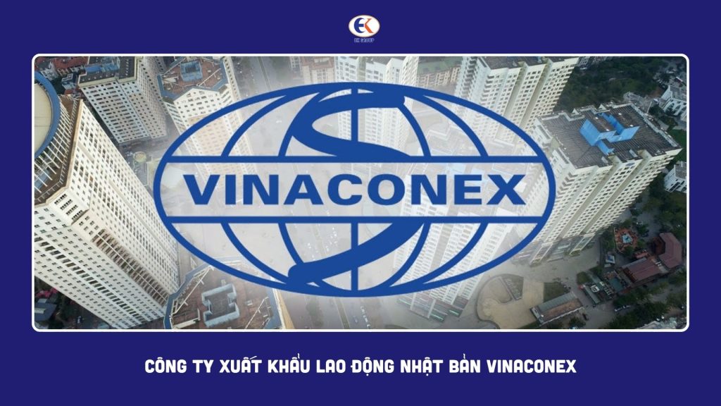 công ty vinaconex