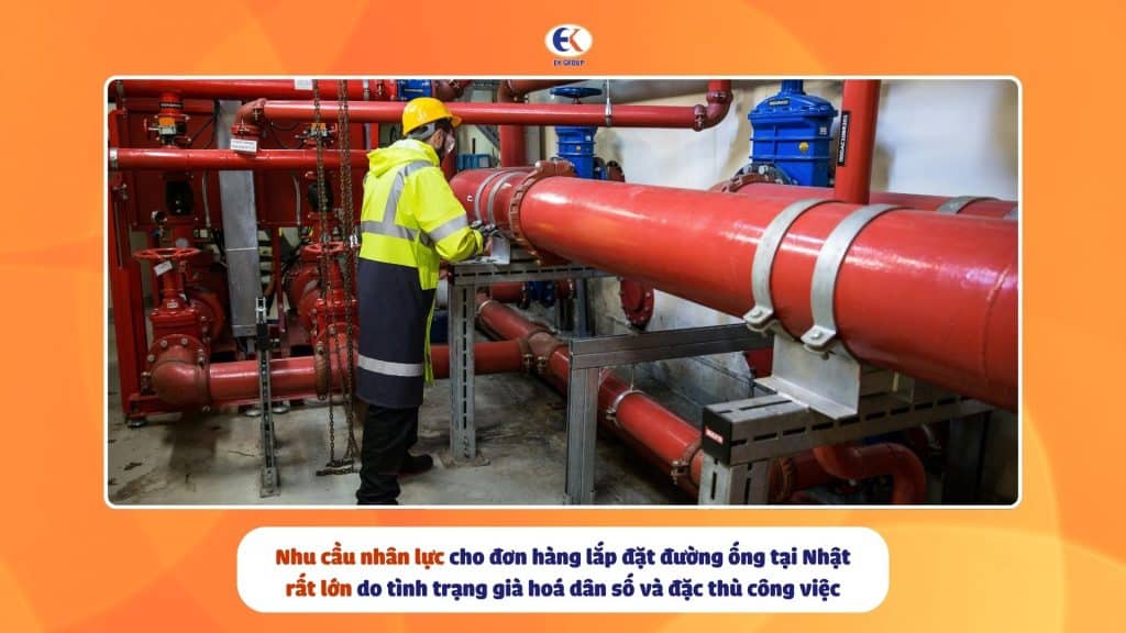 nhu cầu nhân lực của đơn hàng ở mức cao