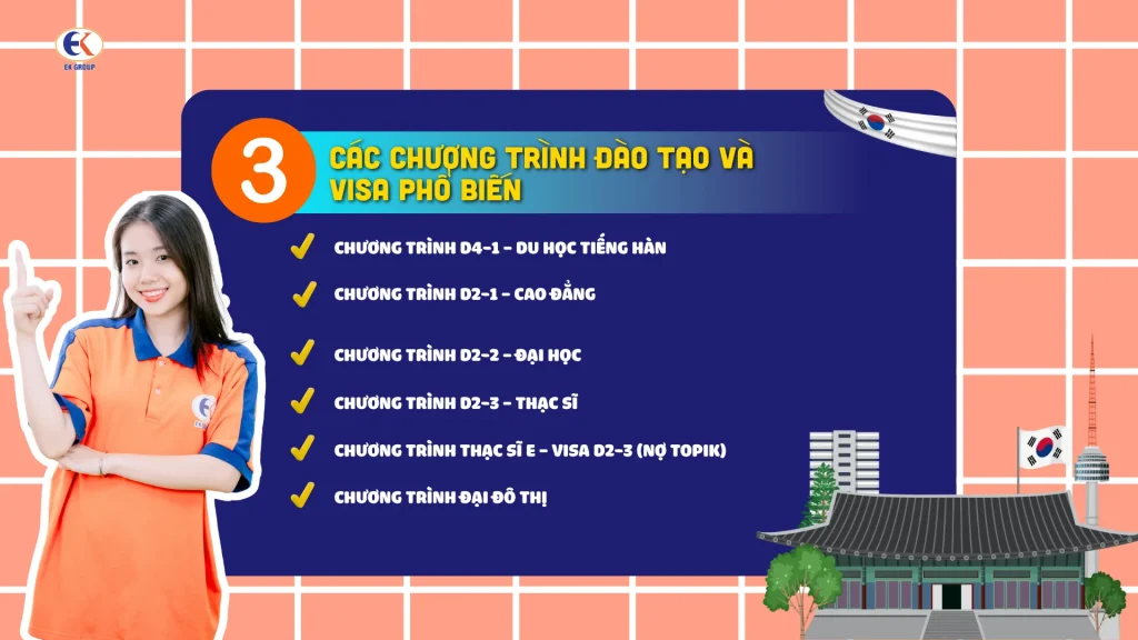 Các chương trình đào tạo và visa phổ biến