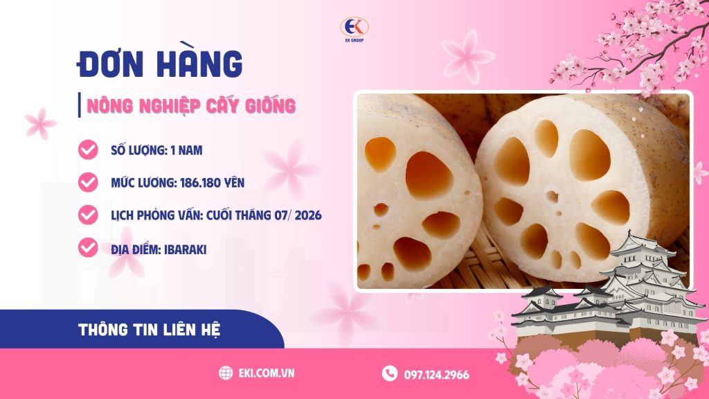 Tuyển 1 nam nhân viên nông nghiệp cấy giống làm việc tại Ibaraki