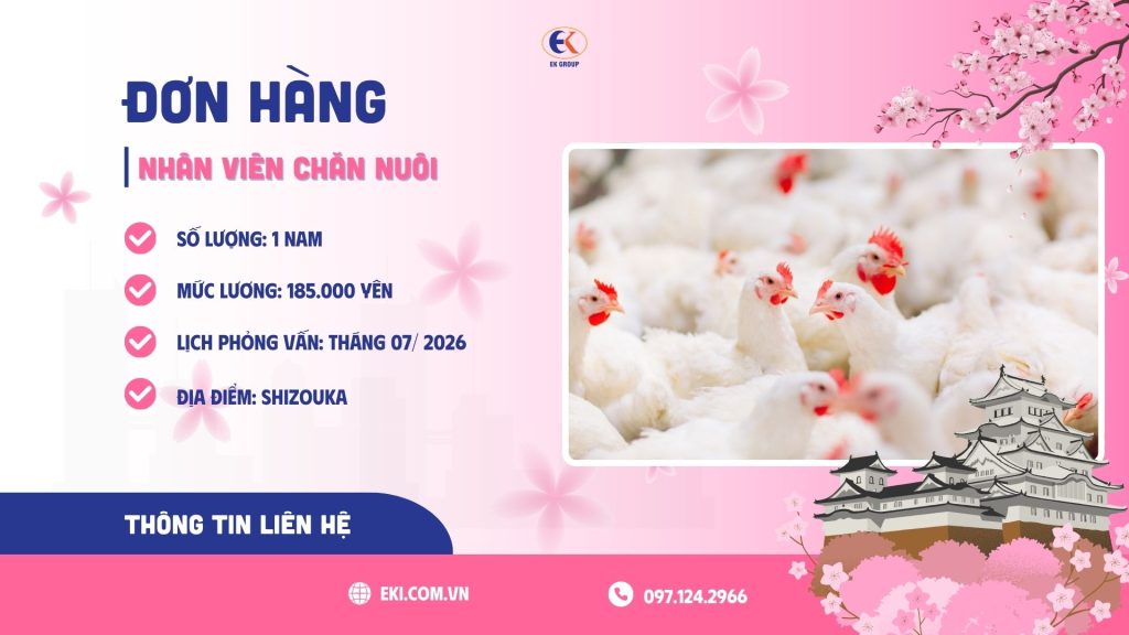 Tuyển 1 nam nhân viên chăn nuôi làm việc tại Shizouka